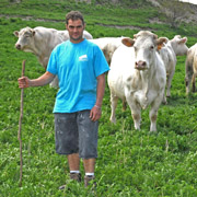 Samuel - Vente directe de boeufs