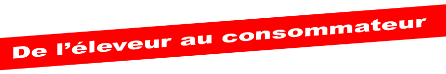 Vente de viande en direct de boeuf et d'agneau